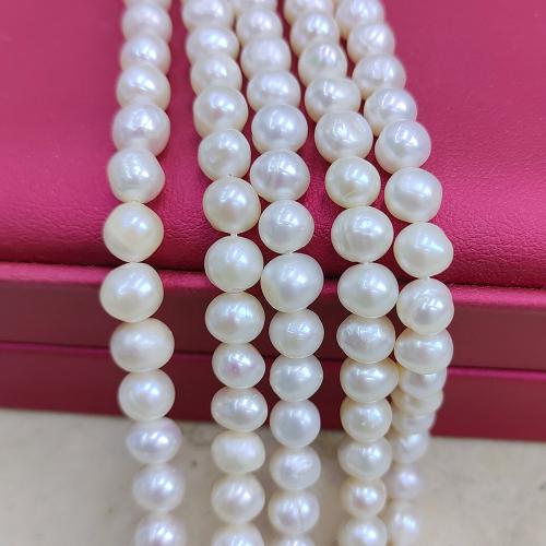Naturel d'eau douce perles, perle d'eau douce cultivée, Légèrement rond, bijoux de mode & DIY, blanc, Length about 6-7mm Environ 38 cm, Vendu par brin