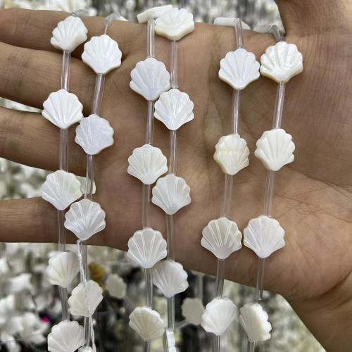 Natural Freshwater Shell Beads, Carved, fashion jewelry & DIY 12mm [