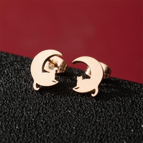 Stainless Steel Stud Earring, 304 Stainless Steel, fashion jewelry & for woman 