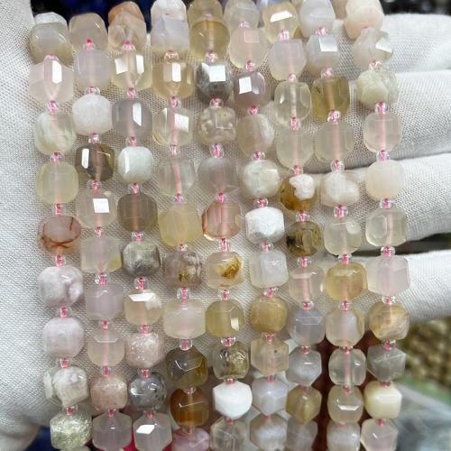 Agate Beads, Cherry Blossom Agate, Square, fashion jewelry & DIY & faceted, mixed colors Approx 38 cm 