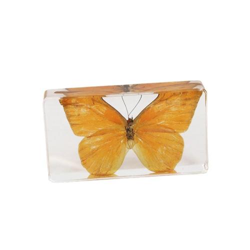 Resin Decoration, with Butterfly, epoxy gel, for home and office 