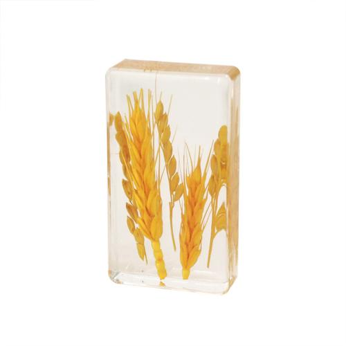 Resin Decoration, with Wheat, epoxy gel, for home and office, yellow 
