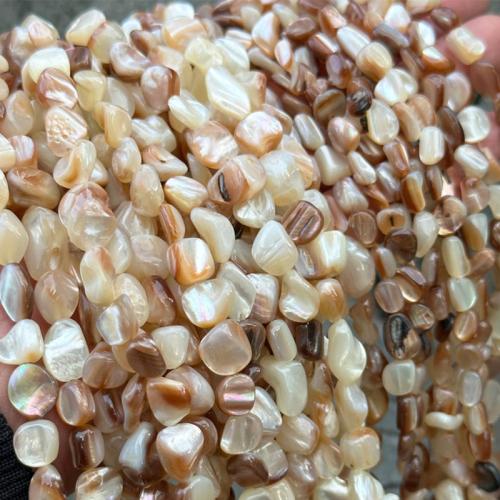 Natural Freshwater Shell Beads, Pteria Penguin, Nuggets, DIY Approx 38-39 cm 