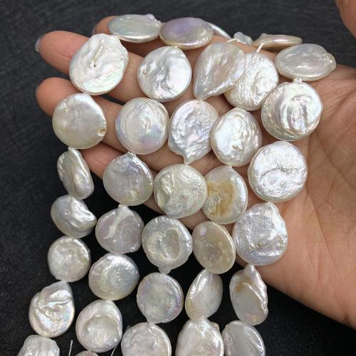 Coin Cultured Freshwater Pearl Beads, DIY, white mm Approx 38 cm 