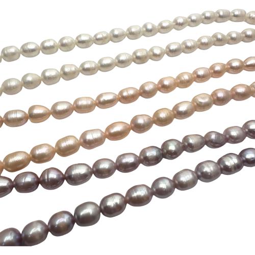 Rice Cultured Freshwater Pearl Beads, DIY 8-9mm Approx 36 cm [