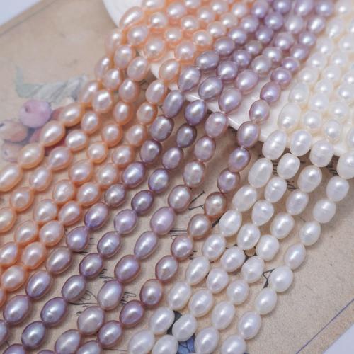 Rice Cultured Freshwater Pearl Beads, DIY Approx 36 cm 