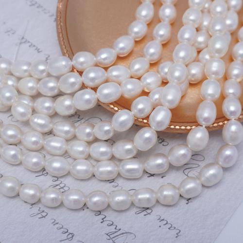 Rice Cultured Freshwater Pearl Beads, DIY white Approx 37 cm 