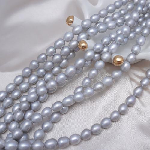 Rice Cultured Freshwater Pearl Beads, DIY, grey, 8-9mm Approx 37-38 cm 