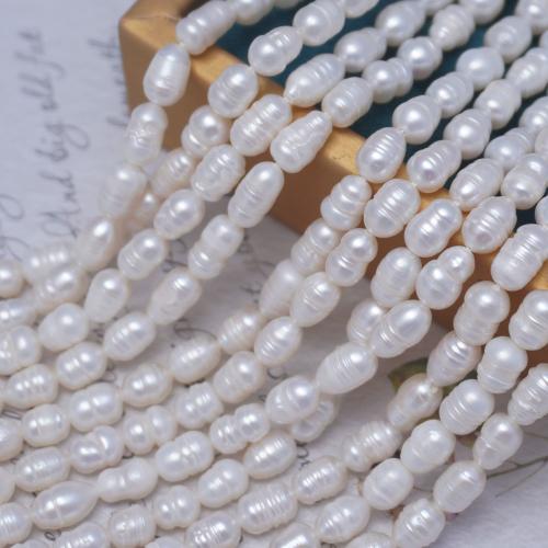 Rice Cultured Freshwater Pearl Beads, DIY white Approx 37 cm 