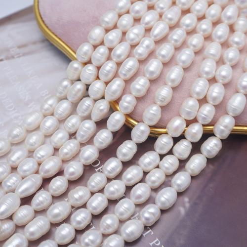 Rice Cultured Freshwater Pearl Beads, DIY, white, 8-9mm Approx 36 cm 