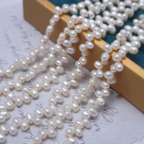 Rice Cultured Freshwater Pearl Beads, DIY & top drilled, white, 5-6mm Approx 35-36 cm 