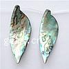 Abalone Shell Beads, Leaf, 50-62mm Inch 