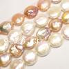 Coin Cultured Freshwater Pearl Beads, natural 10-12mm Approx 0.8mm Inch 
