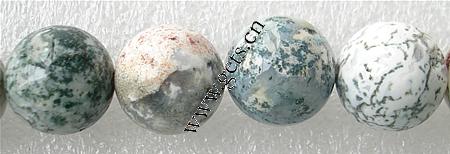 Natürlichen Baum-Achat-Perlen, Baumachat, rund, Kundenindividuell & Weitere Größen für Wahl, Länge:15.5 ZollInch, verkauft von Strang