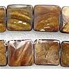 Natural Freshwater Shell Beads, Square, brown Approx 15 Inch, Approx 