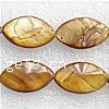 Natural Freshwater Shell Beads, Horse Eye, brown Approx 15 Inch, Approx 