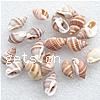 Trumpet Shell Beads, Helix, natural, no hole, 17-21mm Approx 1mm, Approx 