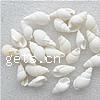 Perles en coquillage trompette, coquille de trompette, hélice, naturel, aucun trou, blanc, 17-22mm, Environ Vendu par kg