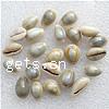 Trumpet Shell Beads, natural, no hole, 12-16mm, Approx 