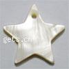 Dyed Shell Pendants, Star Grade A, 25mm 