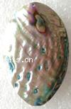Abalone Shell Pendants, Flat Oval 