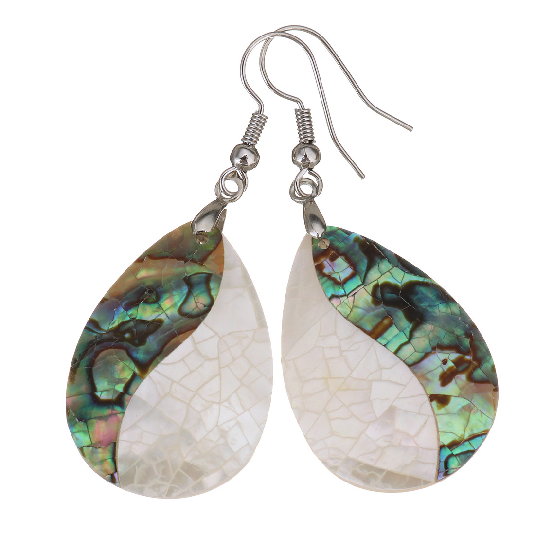  abalone shell and white shell