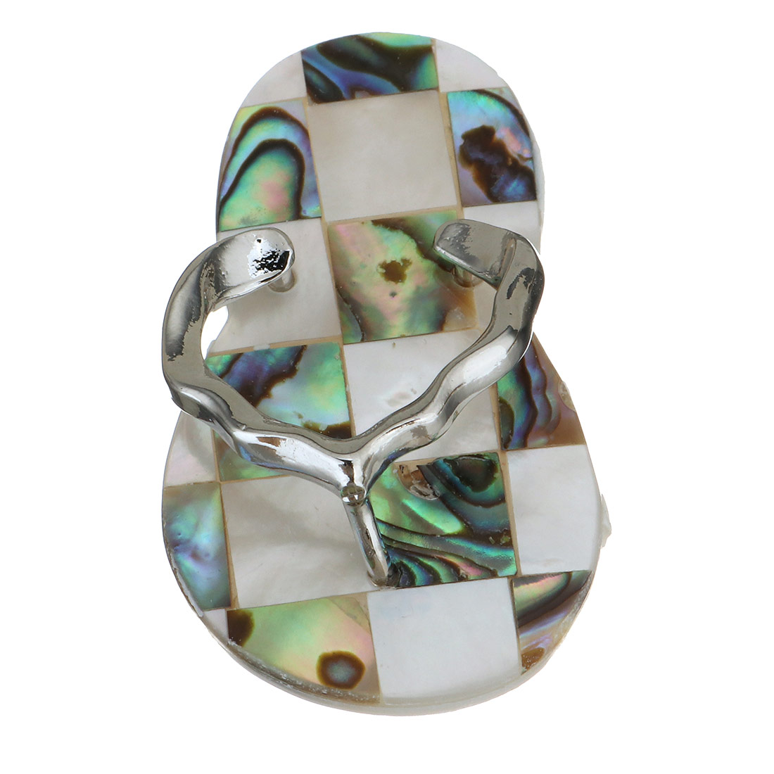  abalone shell and white shell