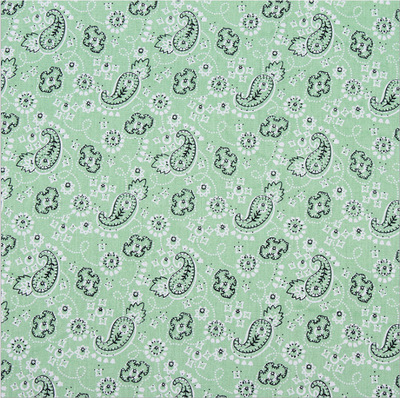 3:πράσινο γρασίδι