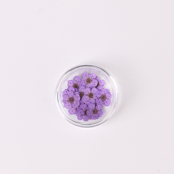 2:меро-фиолетовый
