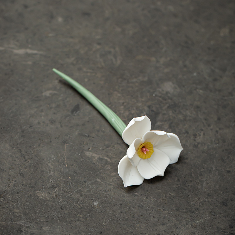 Daffodil branch-white