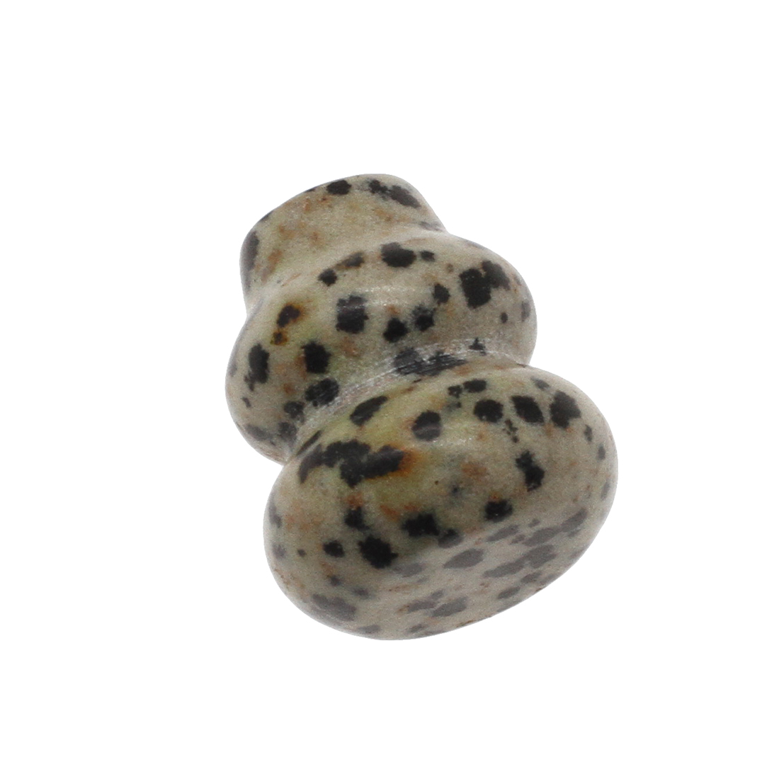 5:dalmata