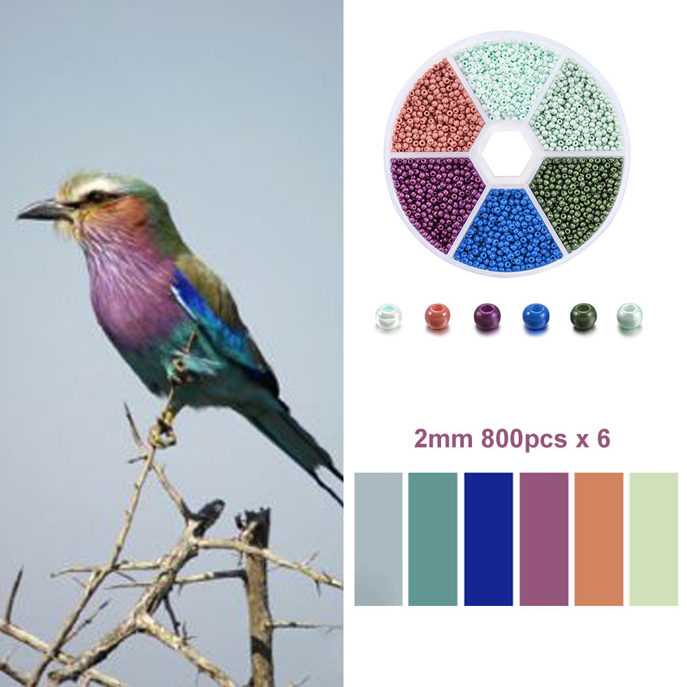 Colorful bird 2mm