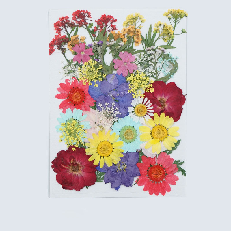 Summer dried flower bag (40 pieces in total)