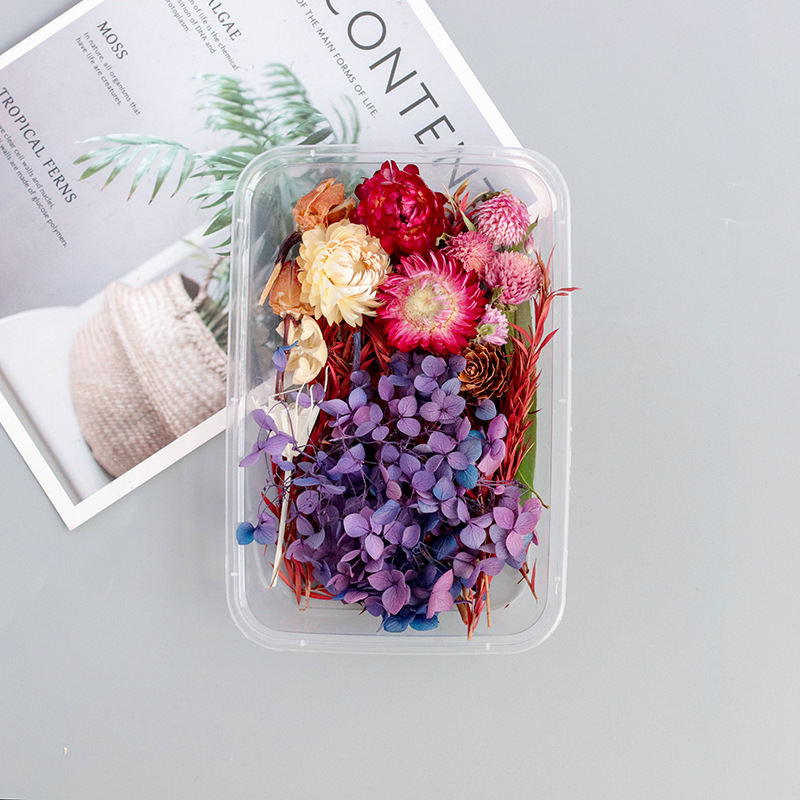 Wisteria/Dried Flower Box