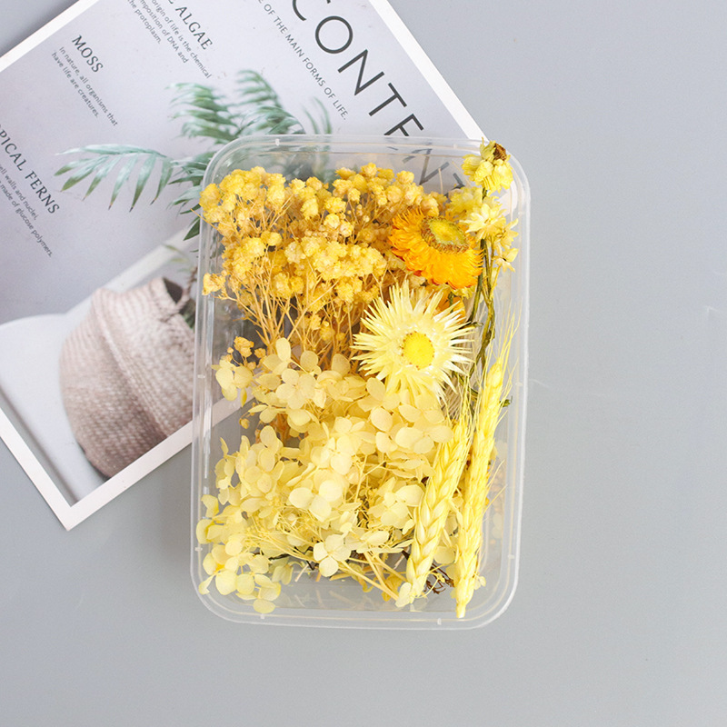 Maimang/Dried flower box