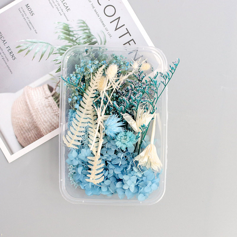4:Ling blue / dried flower box