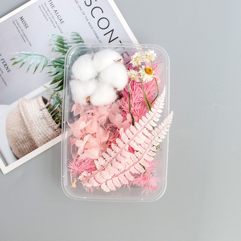 Pink Butterfly/Dried Flower Box