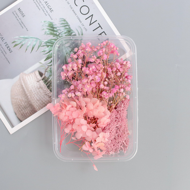 Concubine/Dried Flower Box