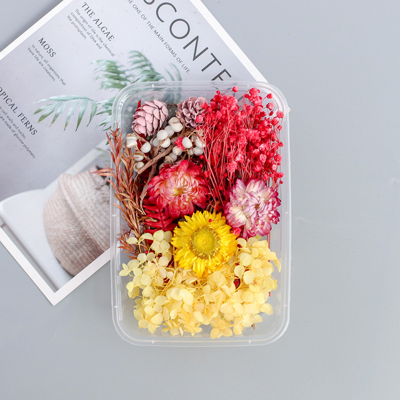 Brilliant/Dried Flower Box