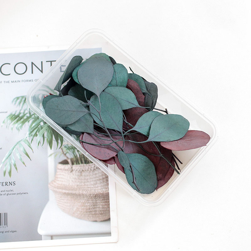 5:Round Leaf Eucalyptus/Color Matching