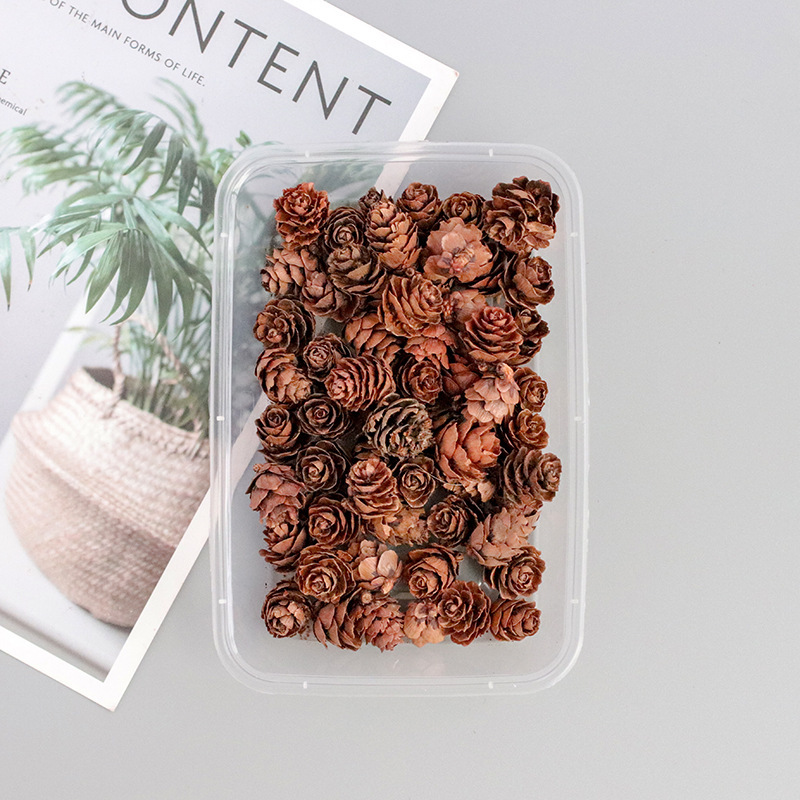 4:small pine cones