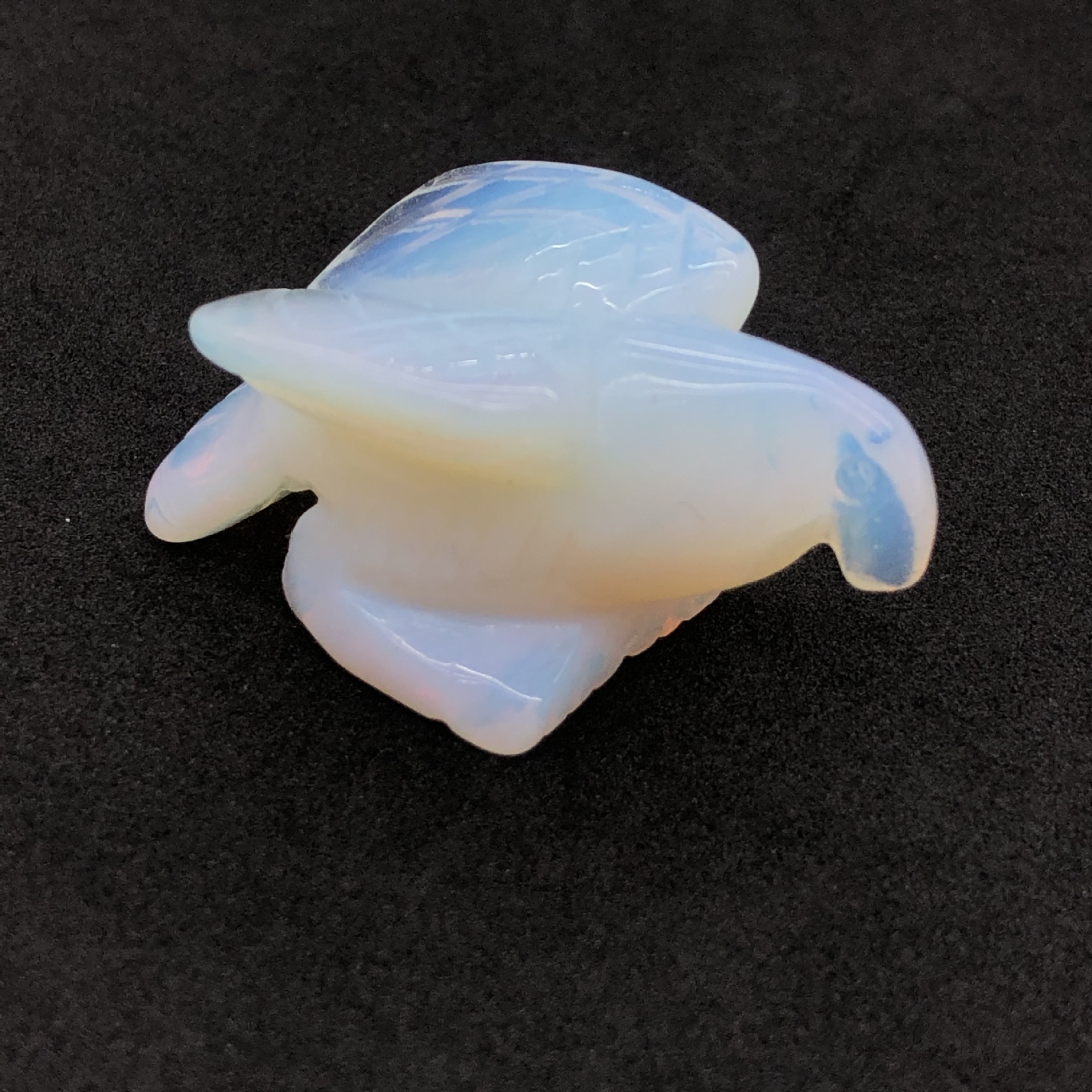 5:jūra opalas