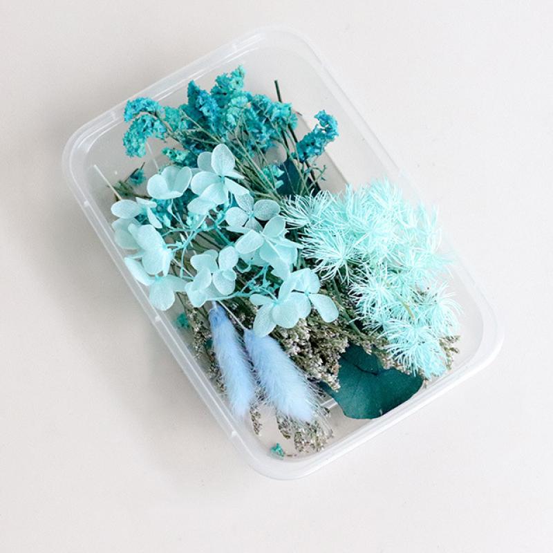 Mist blue dried flower material package
