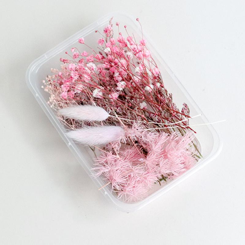Pink encounters dry flower material bag