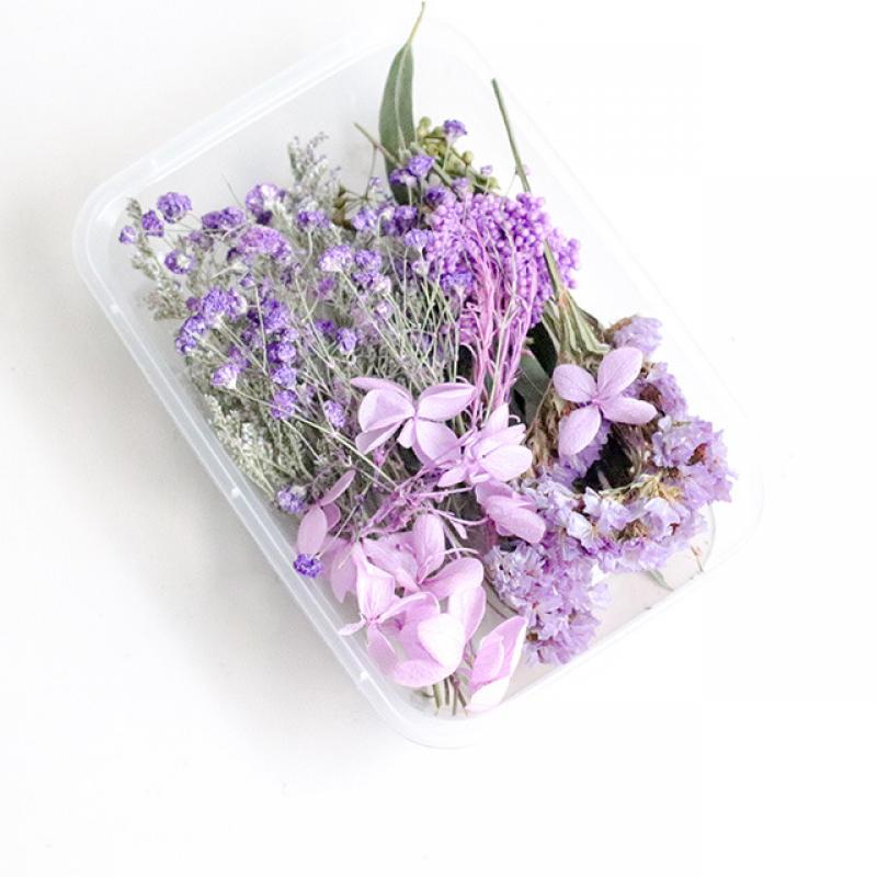 Lighty Light Purple Dry Flower Material Package