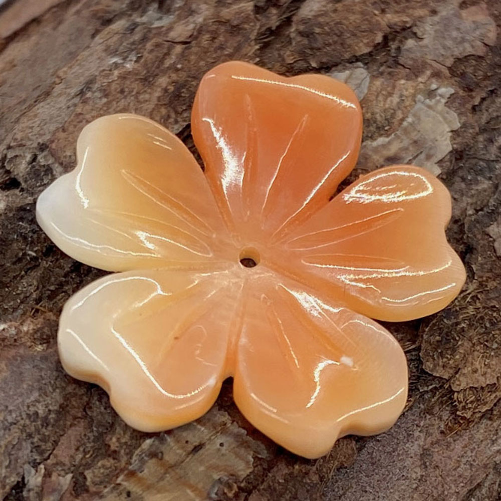 orange shell 19mm