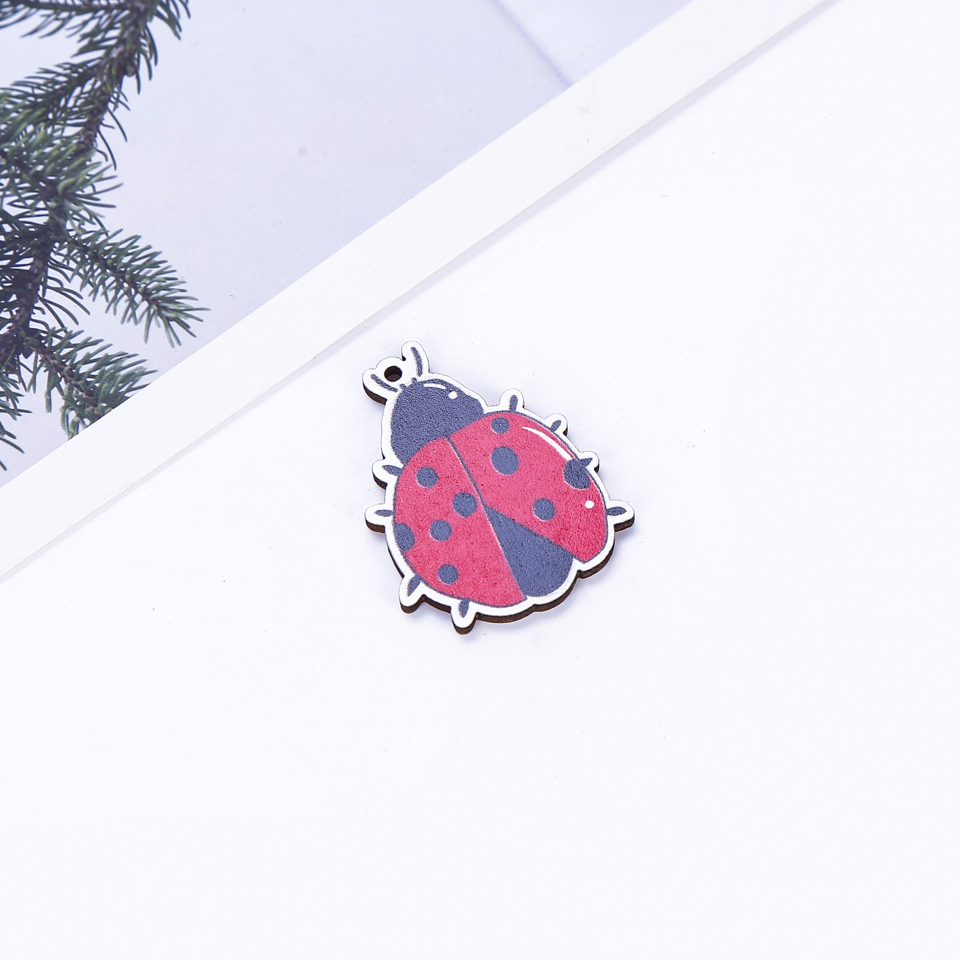 5:Ladybug No. 5