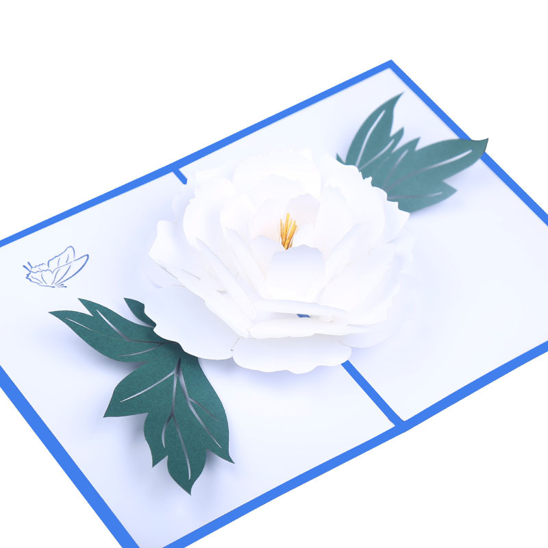 white flower blue cover