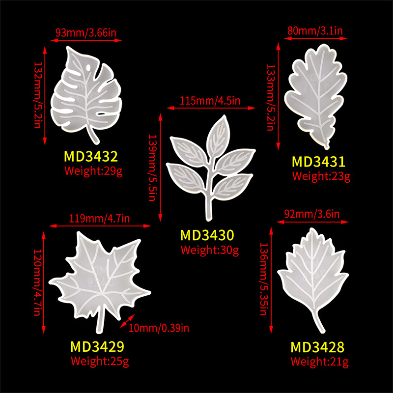 11:5 types of small leaves, one each