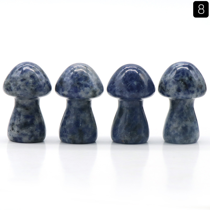 8:blauwe sport steen